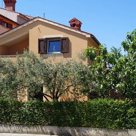 Studio Apartman Andelo بيت ضيافة بولا